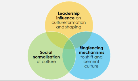 3 CULTURE CHANGE PILLARS
