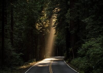 Uncertainty And Change Won’t Stop The Good In Today