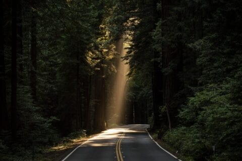 Uncertainty And Change Won’t Stop The Good In Today