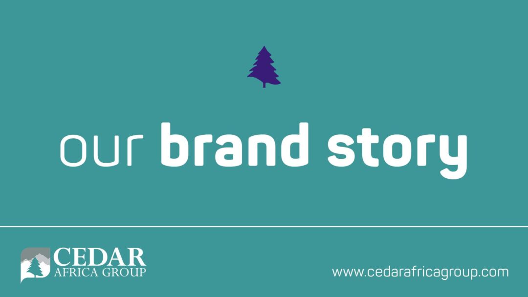 About Us Cedar Africa Group