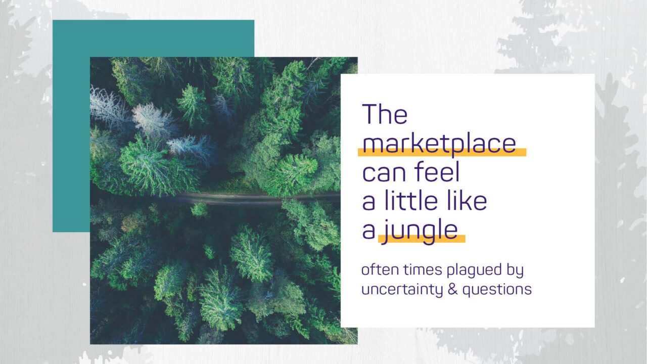 About Us Cedar Africa Group