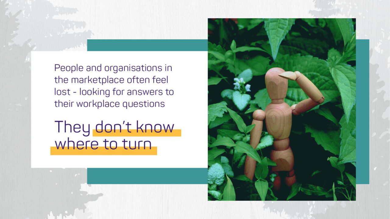 About Us Cedar Africa Group