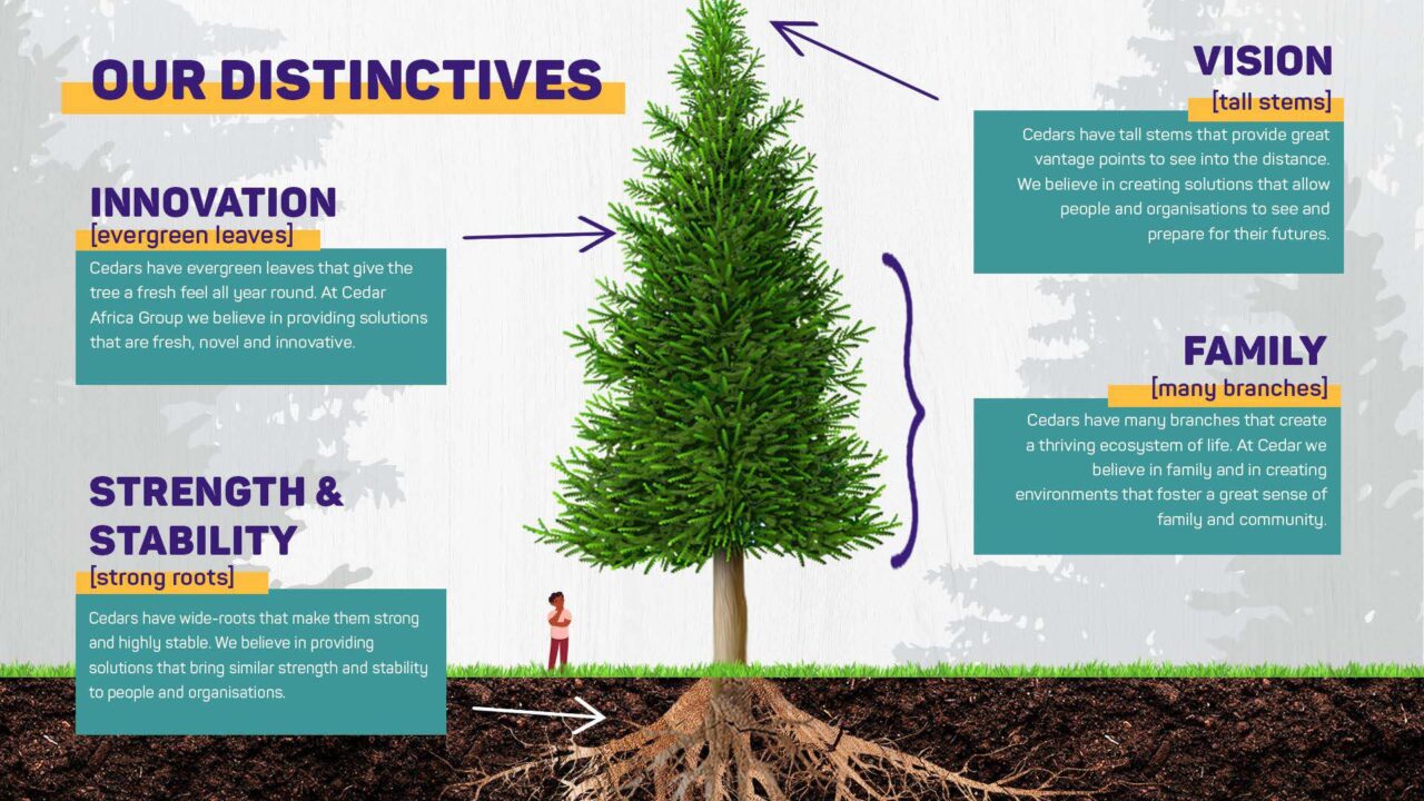 About Us Cedar Africa Group