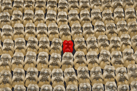 Hiring for Culture Fit: Finding and Growing Talent