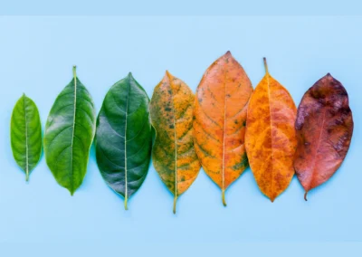 The What, Why And How Of Change Management