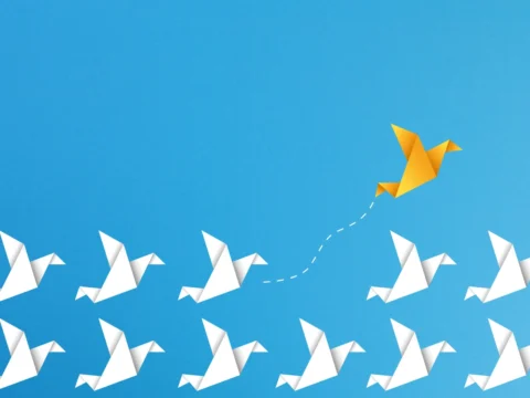 Mid-Career Transitions: How to Pivot Successfully Without Starting Over