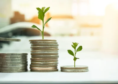 How Not-for-Profits Can Thrive Despite Reduced Funding